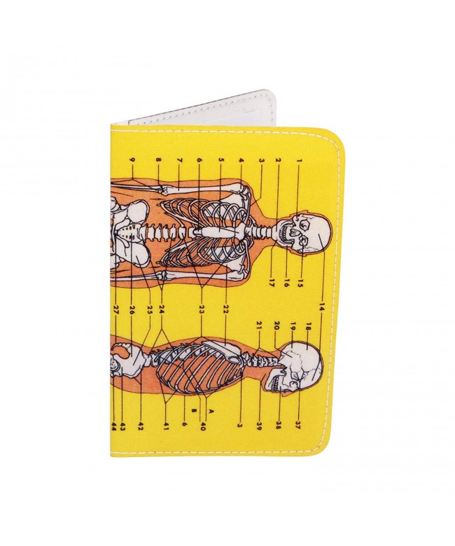 Anatomy Skeleton Business Credit Holder